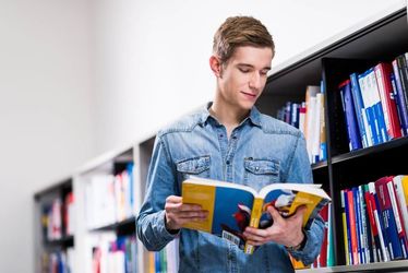 Wirtschaftsinformatik Provadis Hochschule 1